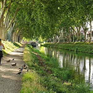 Bayard - Centre-ville - Gare - Confortable Toulouse